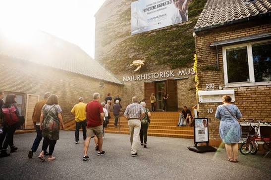 Naturhistorisk Museum – Seværdigheder i Aarhus